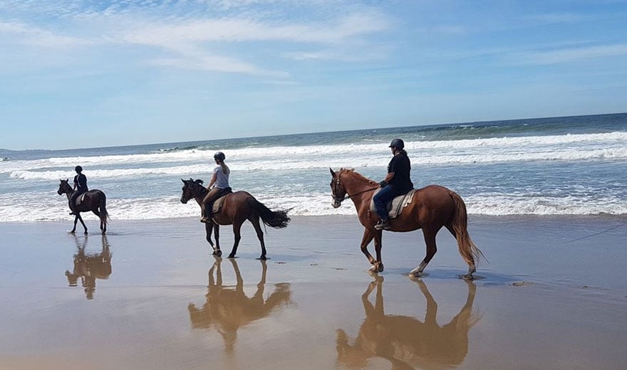 Beach horse ride with a styled picnic - South Coast Experiences