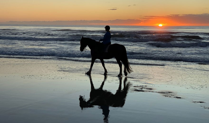 Beach horse riding NSW South Coast