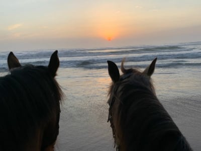 Beach Ride and Private Wine Tasting