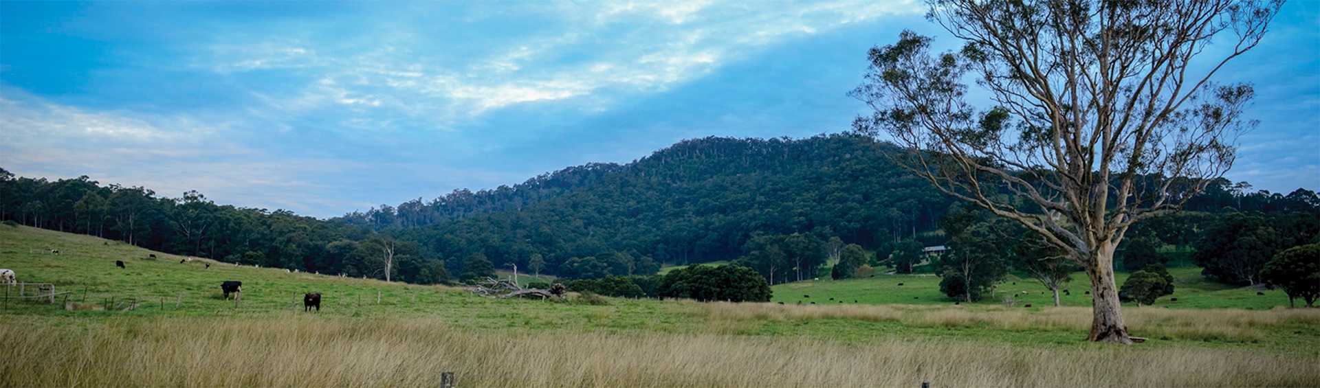 Berry NSW