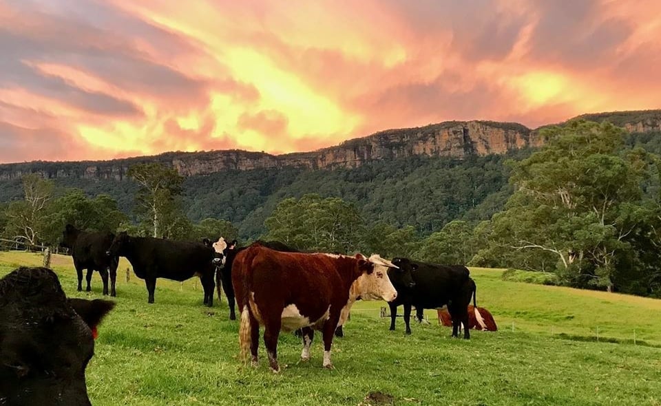 Kangaroo Valley NSW