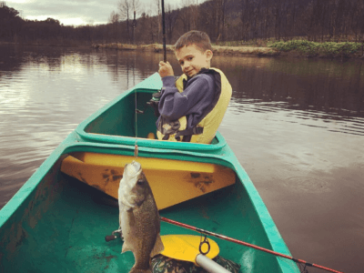 Platypus Paddling