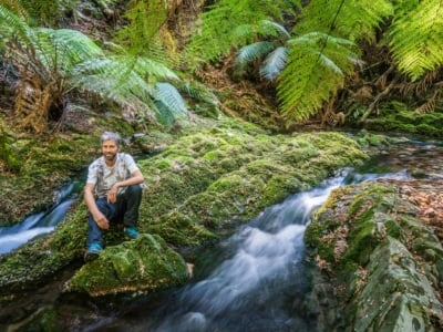 Guided bush walks