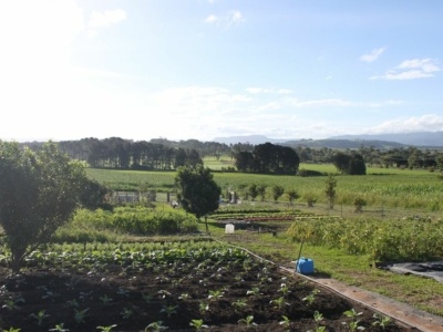 December Market Garden Dinner