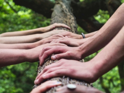 Forest Bathing Retreat
