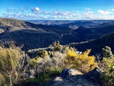 Highland Valley Forage
