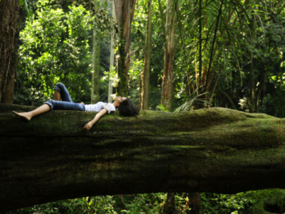 Forest Bathing Retreat