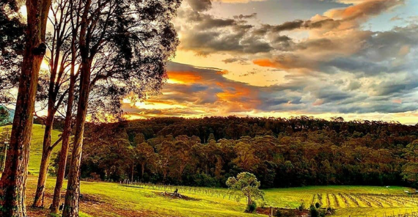 NSW South Coast