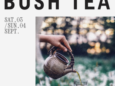 Wildwood Bush x Cherry Moon: A Bush Tea