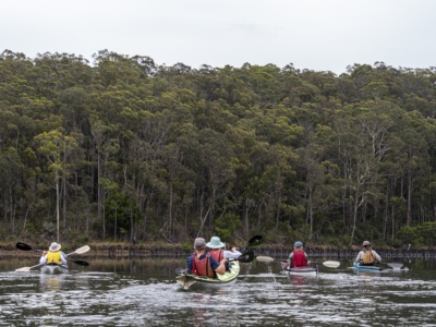 Bermagui River Kayak Tour