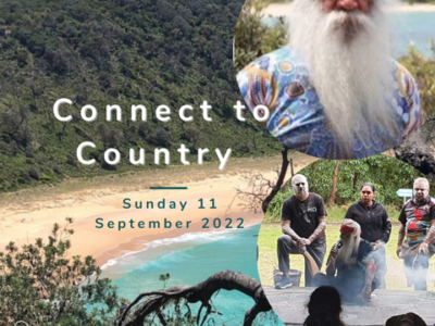 Connect to Country