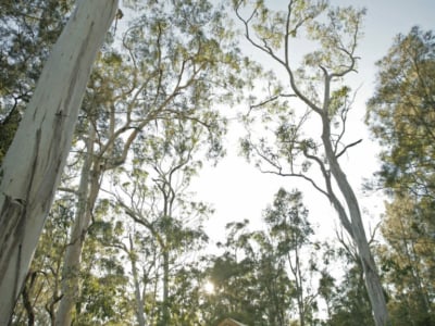 Paperbark Camp – Winter Wellness Retreats