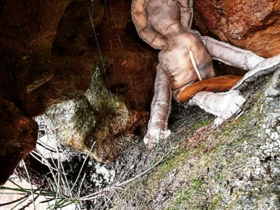 the sage caravan presents – ‘ancestor doll odyssey’