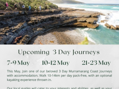 Murramarang Coast Journey