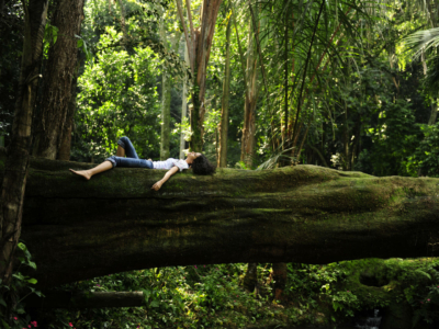 Forest Bathing with Experience Nature Group and Bangalay Dining