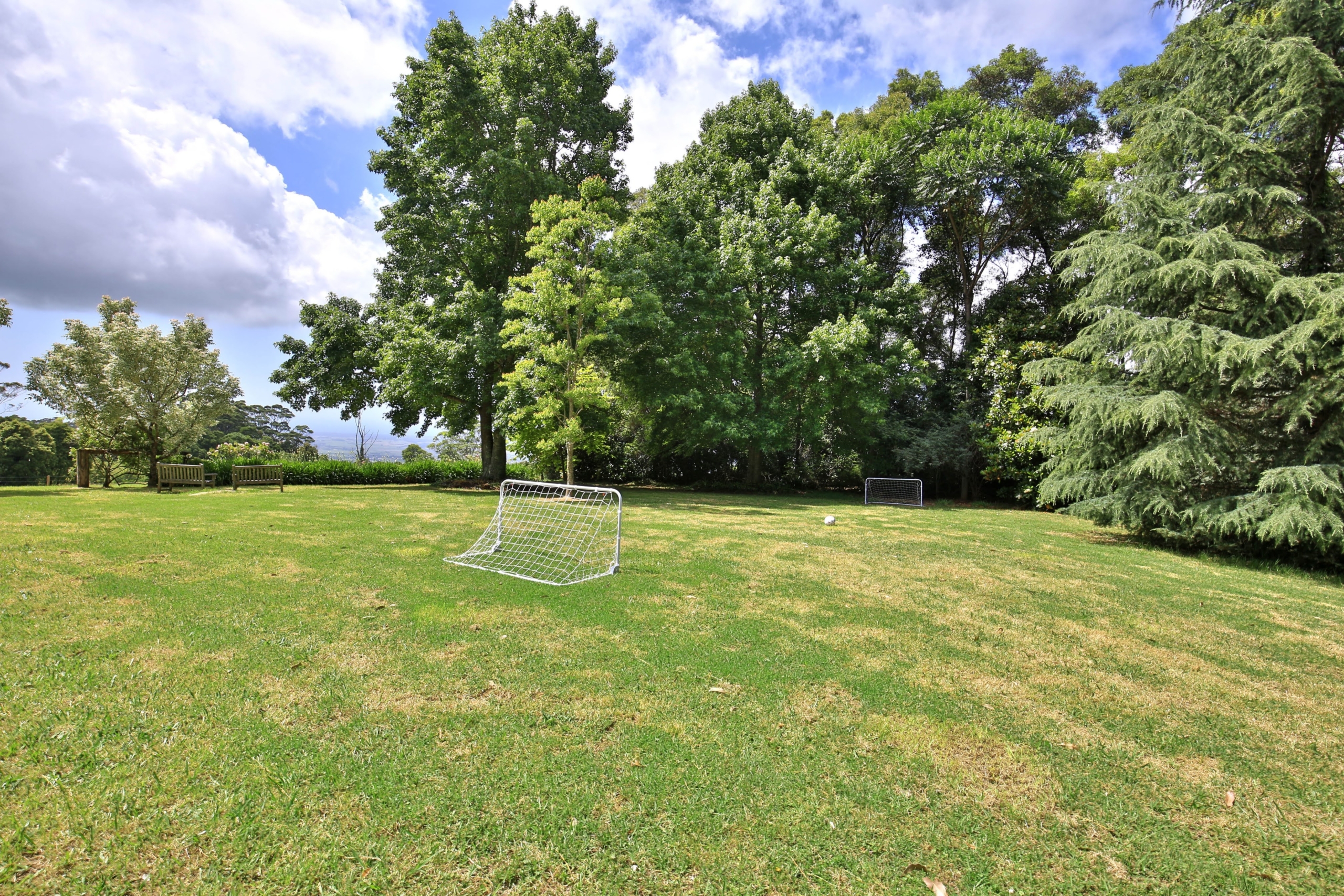 gallery image 13