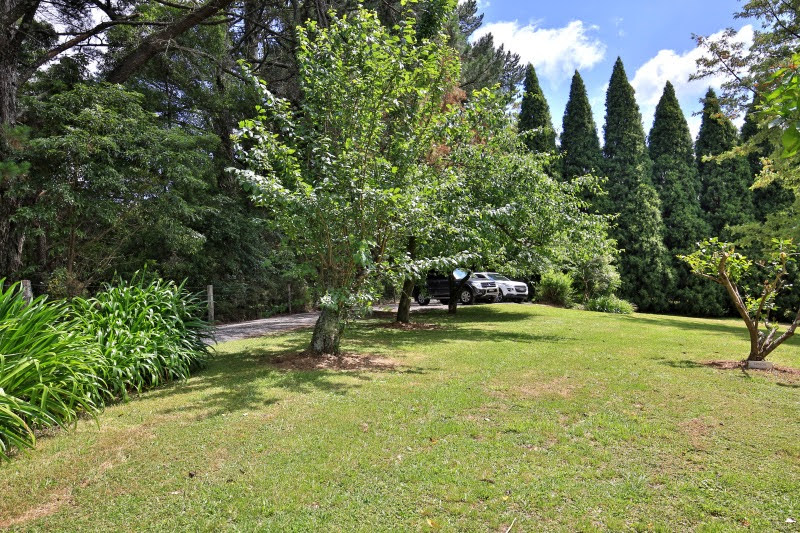 gallery image 37