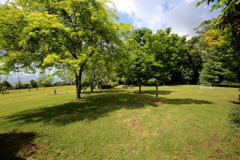 gallery image 38