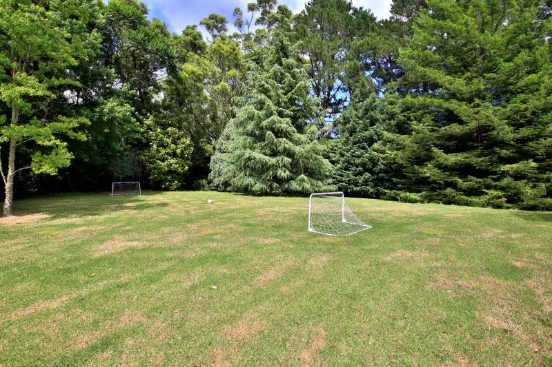 gallery image 36