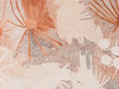 Bundanon Presents : Miwatj Yolŋu – Sunrise People