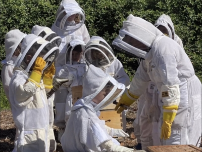 Holiday Bee School for Kids