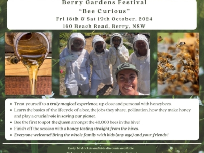“BEE CURIOUS” at the Berry Gardens Festival 2024