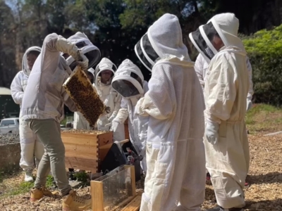 Buzzing Bee Workshops for Kids