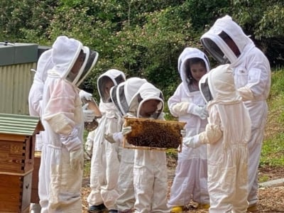 Bee Inspired